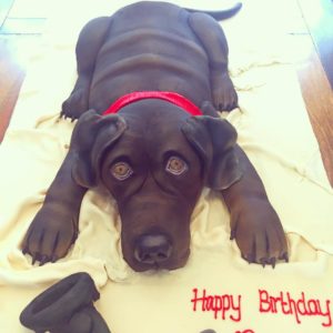 exact copy dog cake