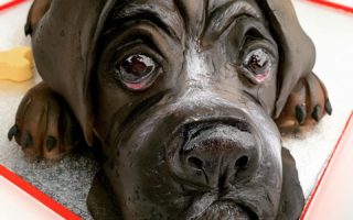 real sculptured dog cake